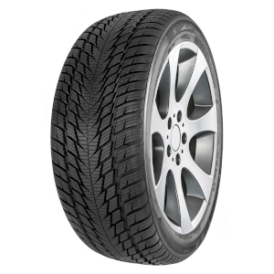 PNEUMATICI 4X4 INVERNALI 225 55 R19 99V FORTUNA WINTER SUV2